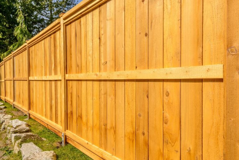 plant wood tree wood stain fence plank home fencing fixture hardwood lumber