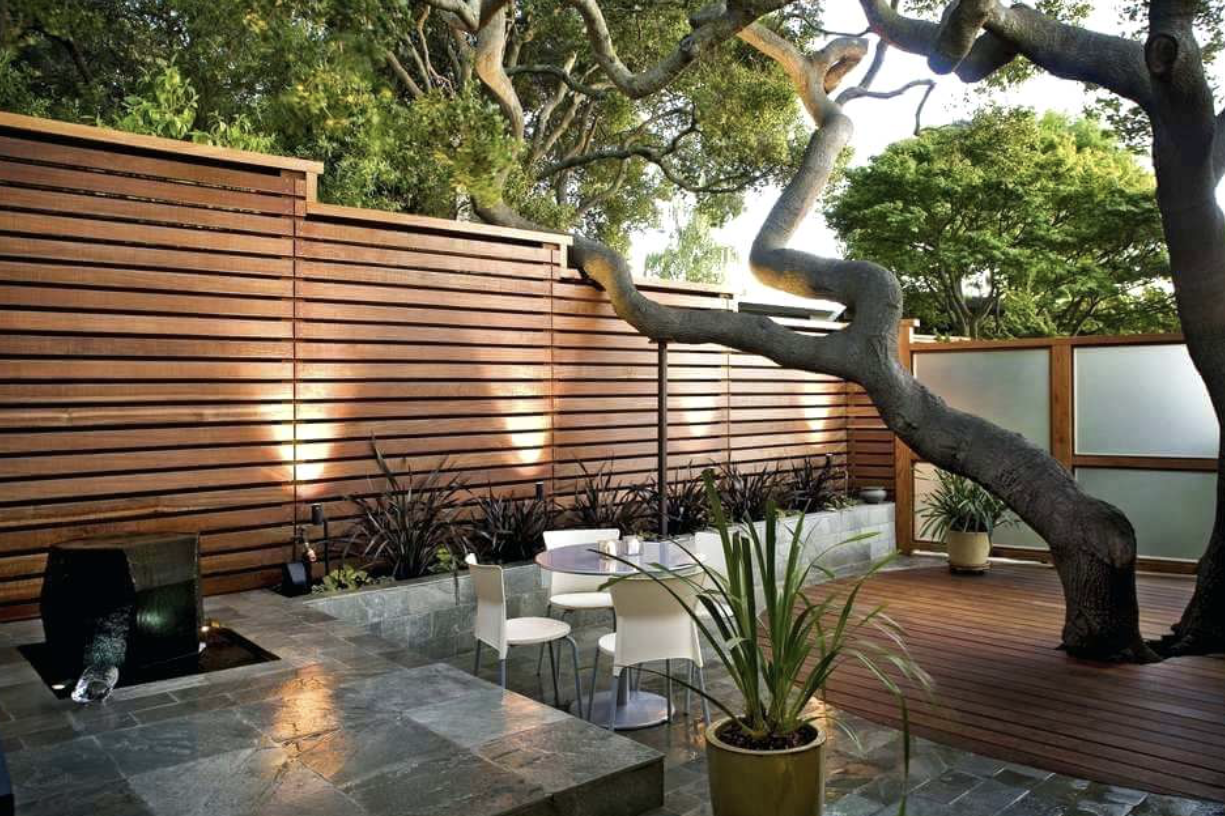 plant flowerpot wood tree houseplant lighting shade interior design outdoor furniture wall