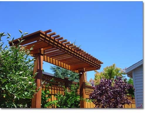 sky plant shade wood rectangle tree tints and shades window outdoor structure roof